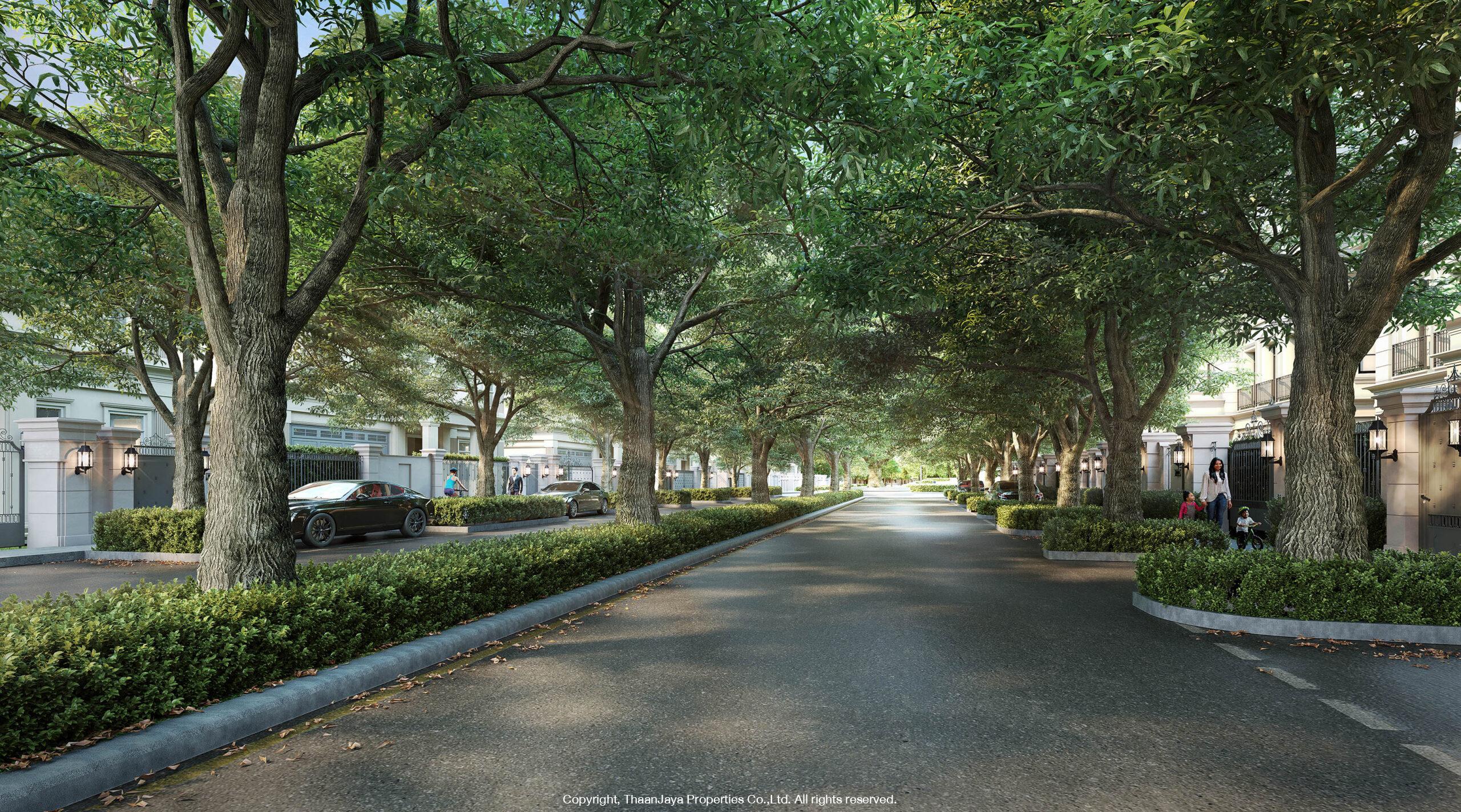chulassa-estate-tree-shaded-streetscape